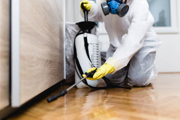 Best Affordable Pest Control Services  in Flemington, PA