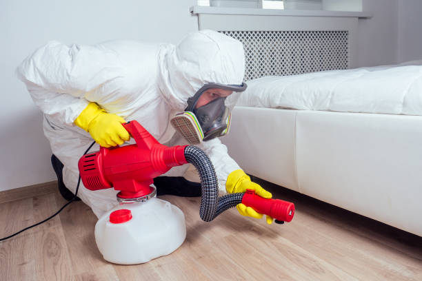 Best Local Pest Control Services  in Flemington, PA