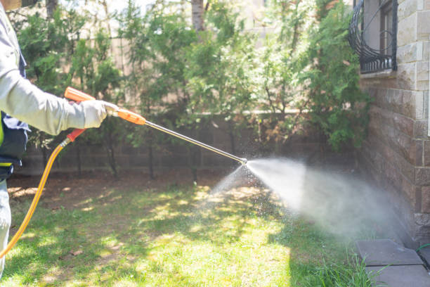 Best Pest Removal Services  in Flemington, PA