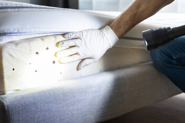 Reliable Flemington, PA Pest Control Solutions