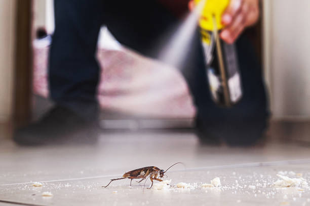 Reliable Flemington, PA Pest Control Solutions